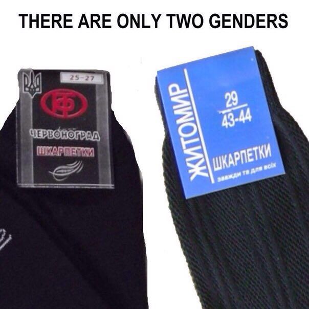 THERE ARE ONLY TWO GENDERS