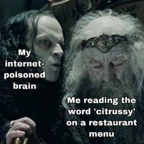 My internet- poisoned brain Me reading the word 'citrussy' on a restaurant menu