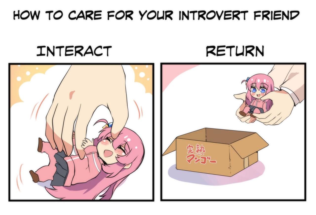 HOW ТО CARE FOR YOUR 1МТКОУЕКТ FRIEND INTERACT A
