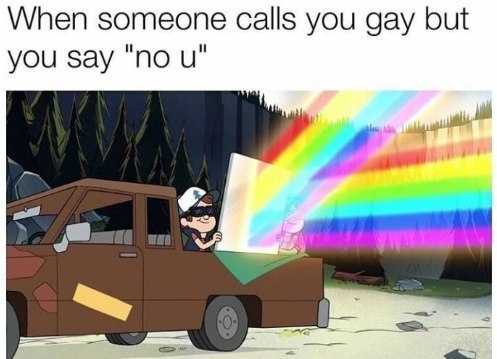 When someone calls you gay but you say "по и"