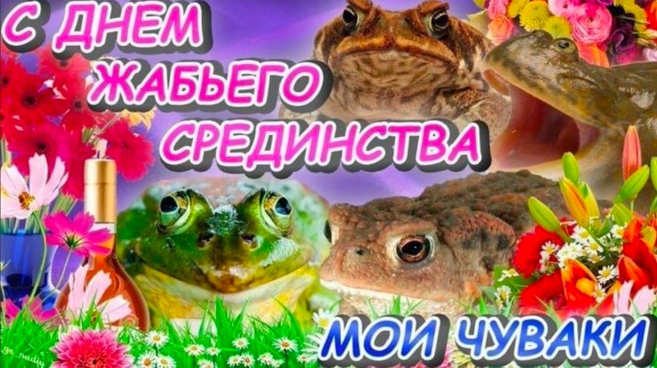 ДНЕМ 4 7 ЧУВАКИ