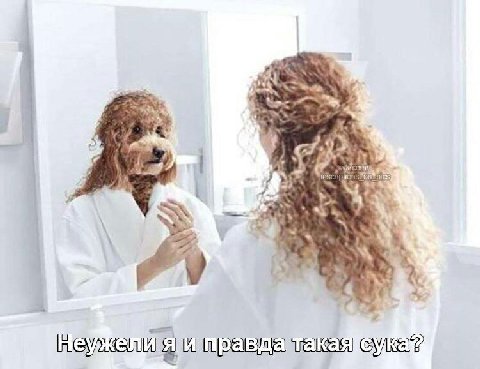 к у 4 К Я)