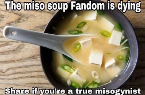 miso soup Fandom is dying 4 Share if you're a true misogynist