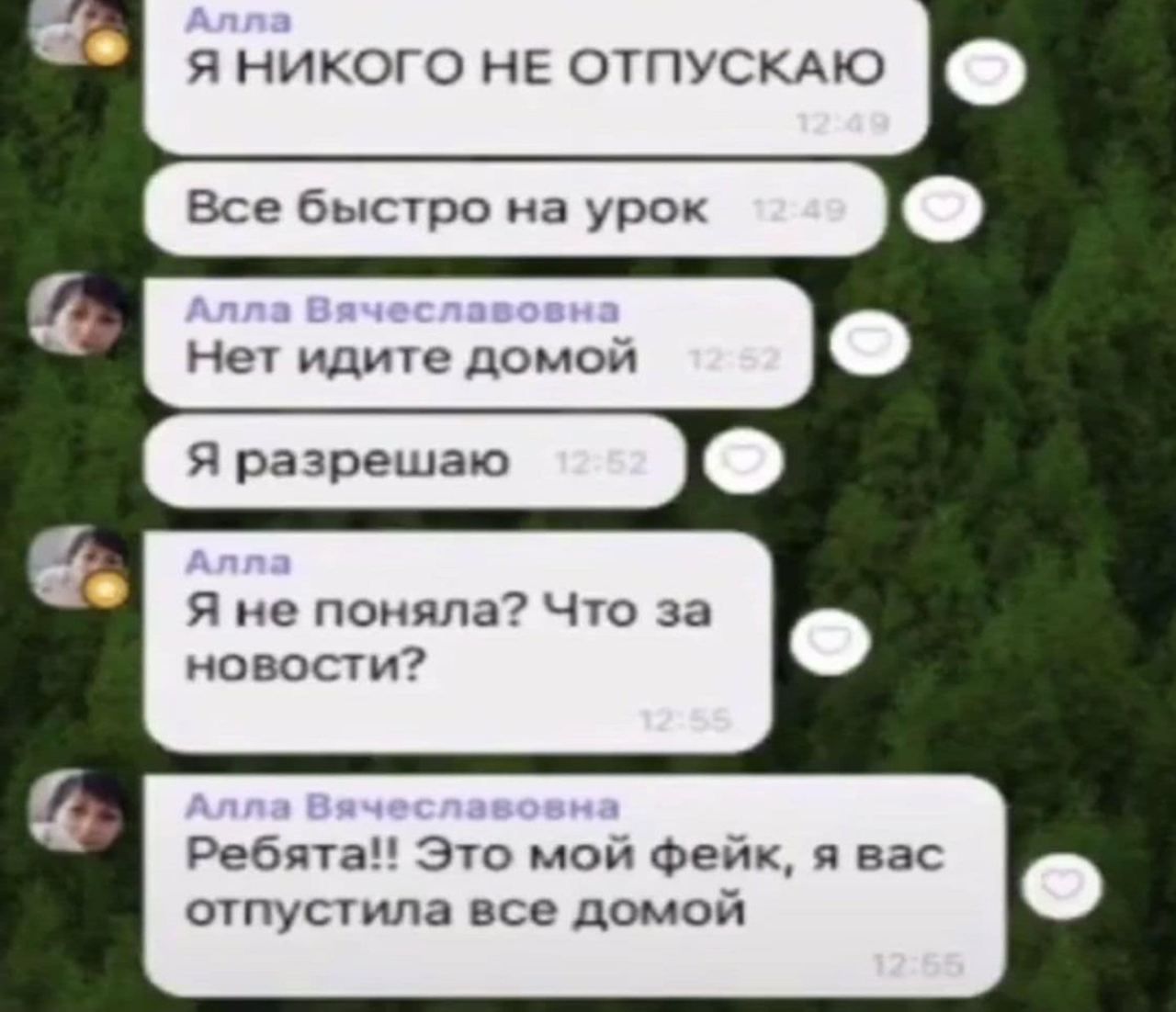 НЕ ОТПУСКАЮ Все быстро на урок Нет идите домой Я не поняла? Что за новости? (5) Ребята! Это мой фейк, я вас (2) отпустила все домой