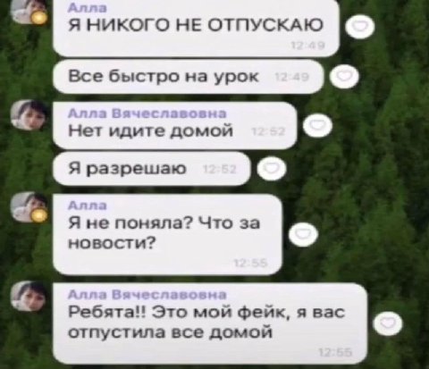 НЕ ОТПУСКАЮ Все быстро на урок Нет идите домой Я не поняла? Что за новости? (5) Ребята! Это мой фейк, я вас (2) отпустила все домой