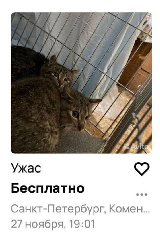 Ужас Бесплатно Санкт-Петербург, Комен... 27 ноября, 19:01