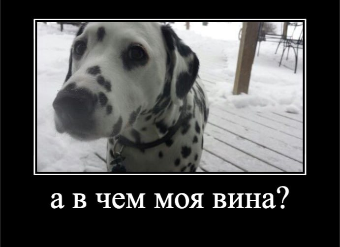 а в чем моя вина?