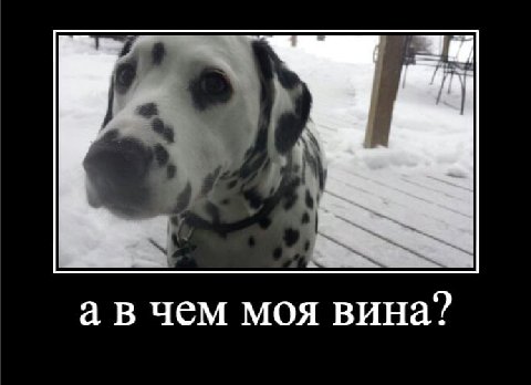 а в чем моя вина?