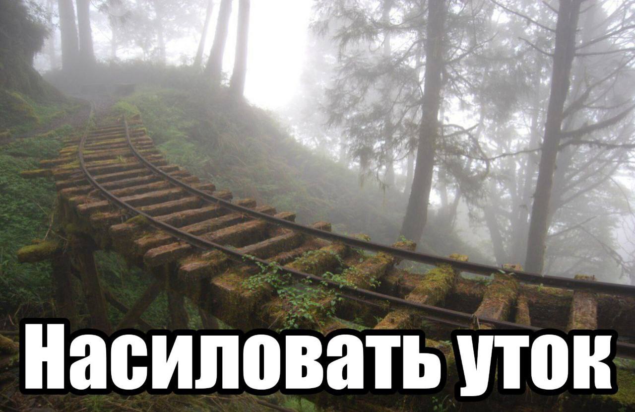 We. я be 4 fey wey: a Пасиловать уток