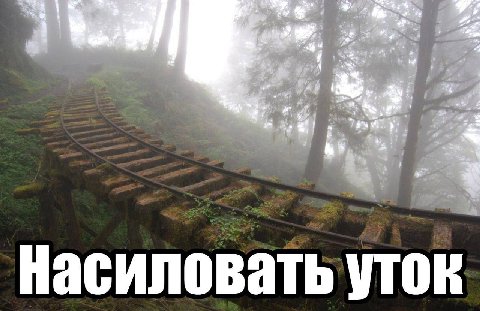 We. я be 4 fey wey: a Пасиловать уток