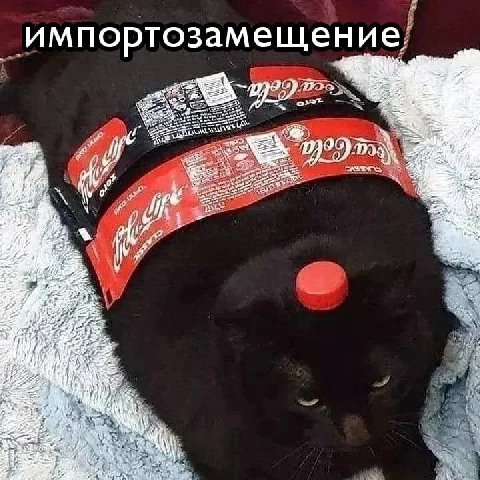 импортозамещение, 9 с i