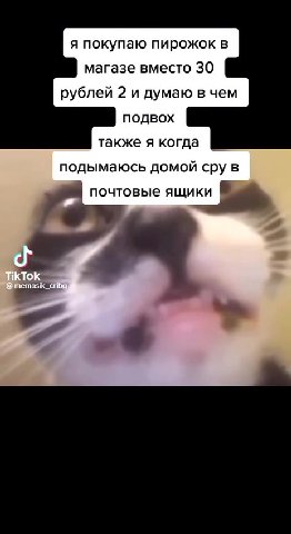 я покупаю пирожок в магазе вместо 30 рублей 2 и думаю в чем также я когда ® подымаюсь домой сру в почтовые ящики №
