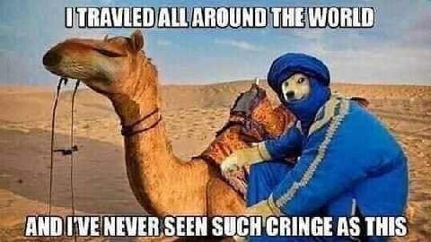 ALL AROUND THE WORLD AND I'VE NEVER SEEN SUGH CRINGE AS THIS