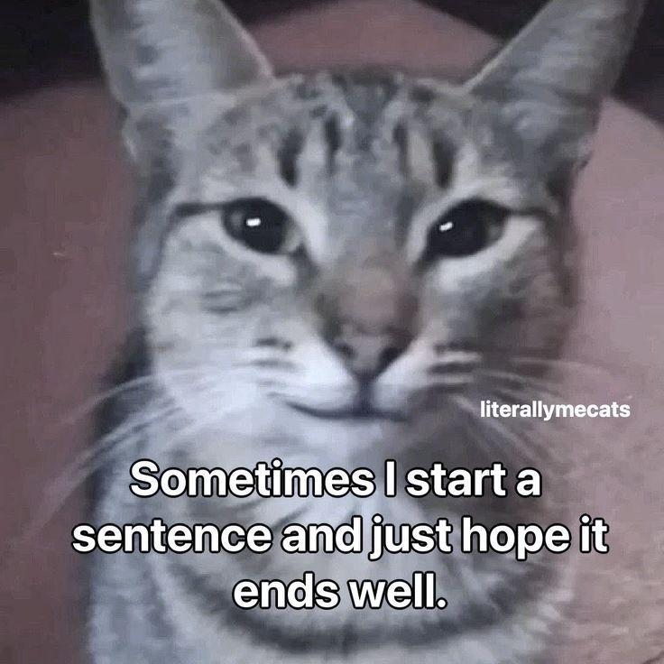 or literallymecats So тент sentence and just hope it ends well