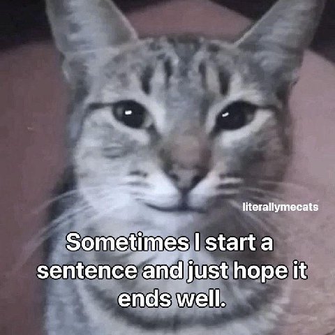 or literallymecats So тент sentence and just hope it ends well