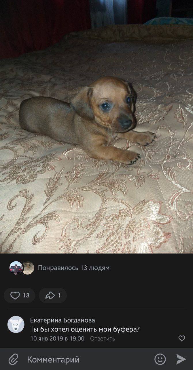 +a Понравилось 13 людям Екатерина Богданова У Ты бы хотел оценить мои буфера? 10 янв 2019 в 19:00 Ответить Комментарий