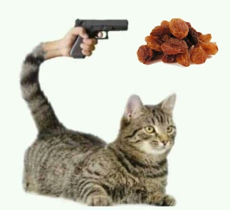 у