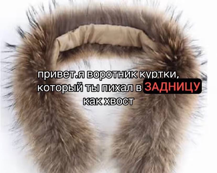 куртки. которы Tel ile a?