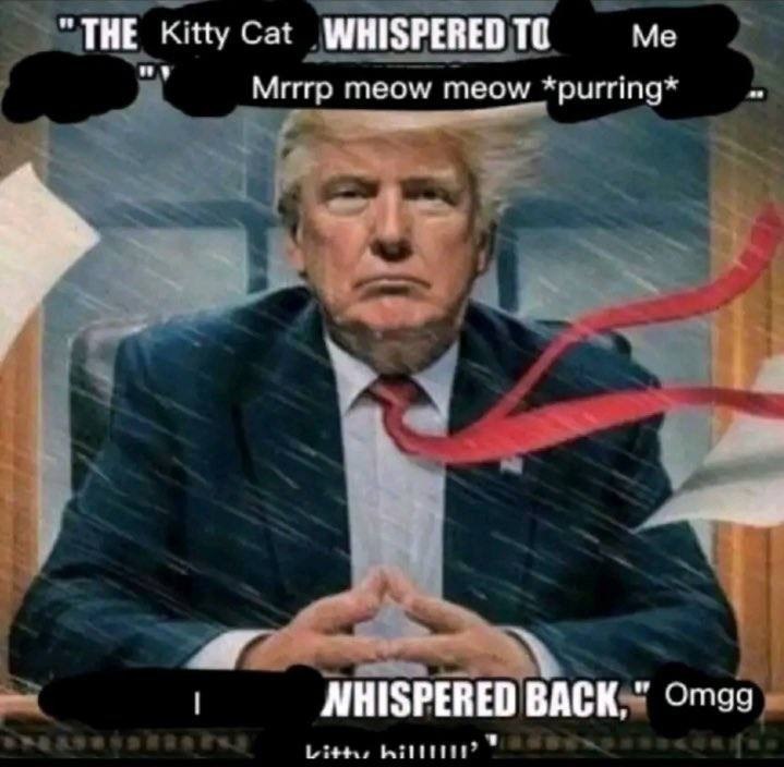 "THE Kitty Cat WHISPERED ТО Me Мигр meow Meow NHISPERED BACK,"