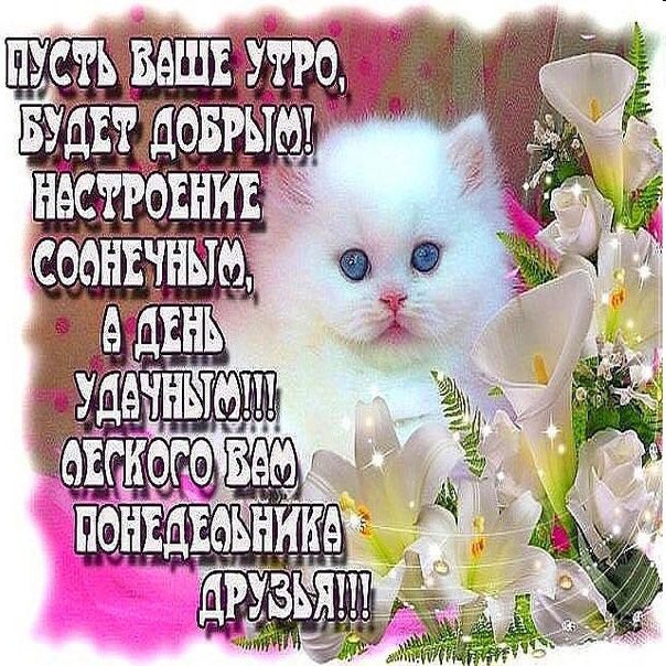 УТРО о 42: 4 TORE i Я]