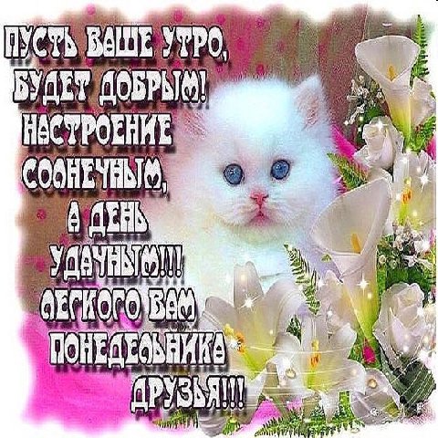 УТРО о 42: 4 TORE i Я]
