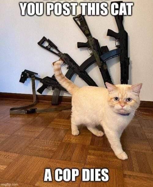 YOU 4 5. 0, me А СОР DIES