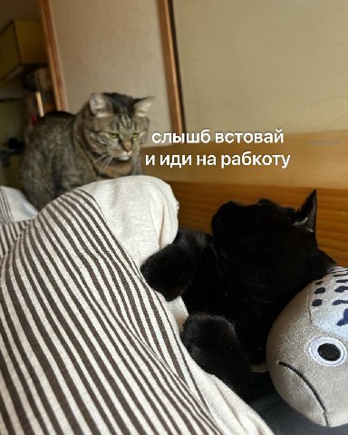 слышб встовай ииди на рабкоту