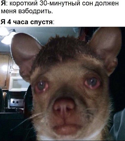 Я: короткий 30-минутный сон должен меня взбодрить. Я 4 часа спустя: