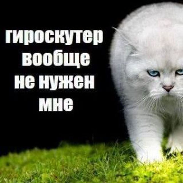 гироскутер вообще не нужен МНЕ