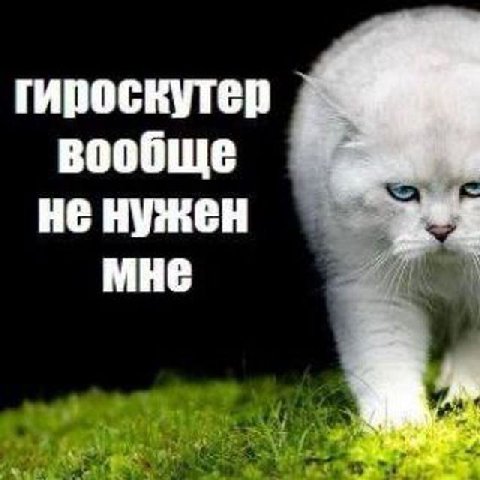 гироскутер вообще не нужен МНЕ