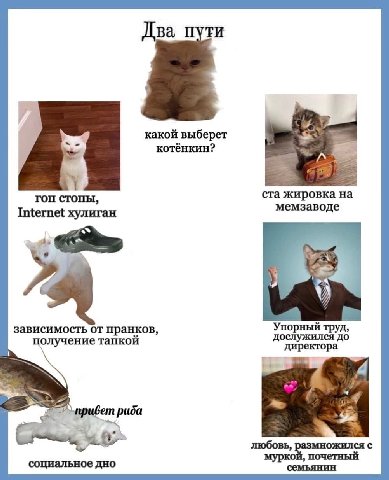 какой выберет котёнкин? гоп стопы, ста жировка на мемзаводе Internet хулиган У, зависимость от пранков, Упорный труд, получение тапкой дослужился до директора риба ожился любовь, социальное дно муркой