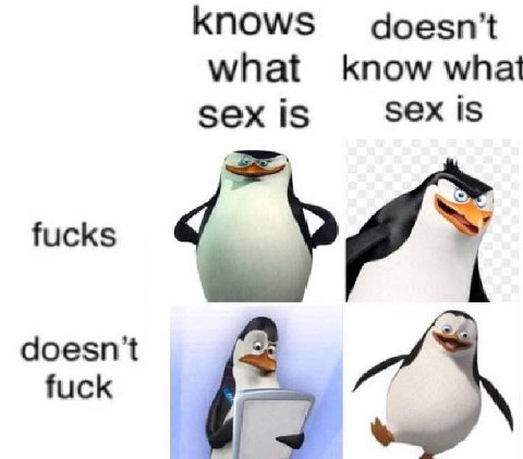 knows doesn't what know what sex 1$ sex is 6 doesn't fuck