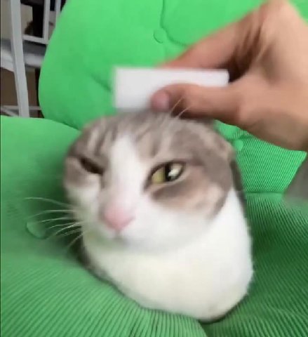 мем