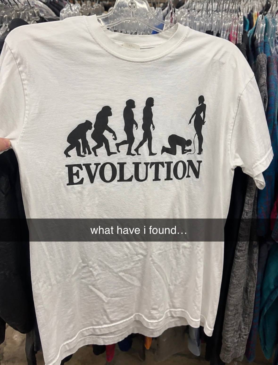 EVOLUTION what have i found