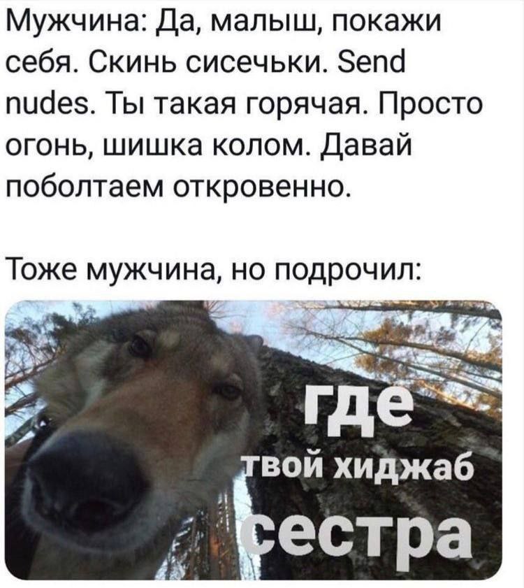 Мужчина: Да, малыш, покажи себя. Скинь сисечьки. Send nudes. Ты такая горячая. Просто огонь, шишка колом. Давай поболтаем откровенно. Тоже мужчина, но подрочил: я вой хиджаб