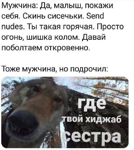 Мужчина: Да, малыш, покажи себя. Скинь сисечьки. Send nudes. Ты такая горячая. Просто огонь, шишка колом. Давай поболтаем откровенно. Тоже мужчина, но подрочил: я вой хиджаб