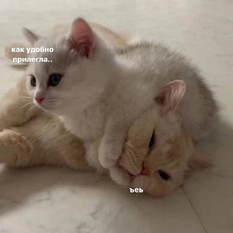 как удобно прилегла.. ъеь
