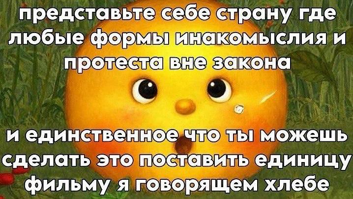 представьте себе страну где любые формьцинакомыслия и а и единственное Что ты можешь сделать это поставить единицу фильму я говорящем хлебе