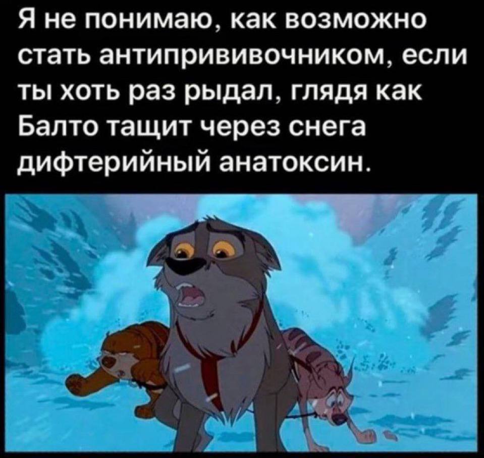 Я не понимаю, как возможно стать антипрививочником, если ты хоть раз рыдал, глядя как Балто тащит через снега дифтерийный анатоксин.
