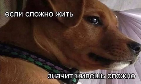 если сложно жить значит живешь сложно