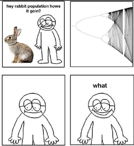 hey rabbit population hows it goin?