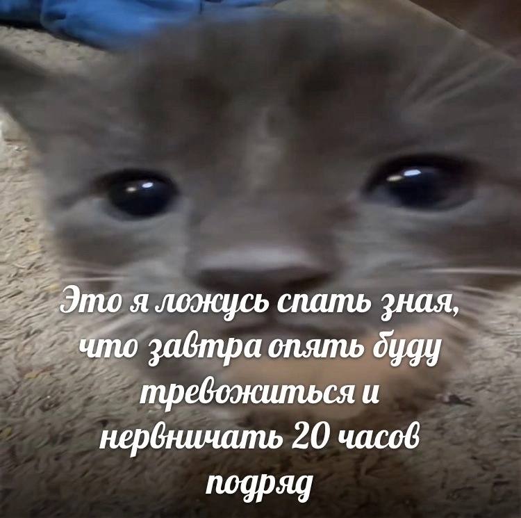 Это я лоэюцеь спать зная, что завтра опять дуду и нервничать 20 часов подряд