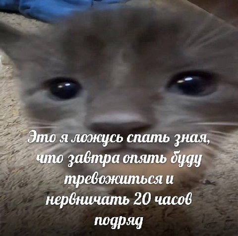 Это я лоэюцеь спать зная, что завтра опять дуду и нервничать 20 часов подряд