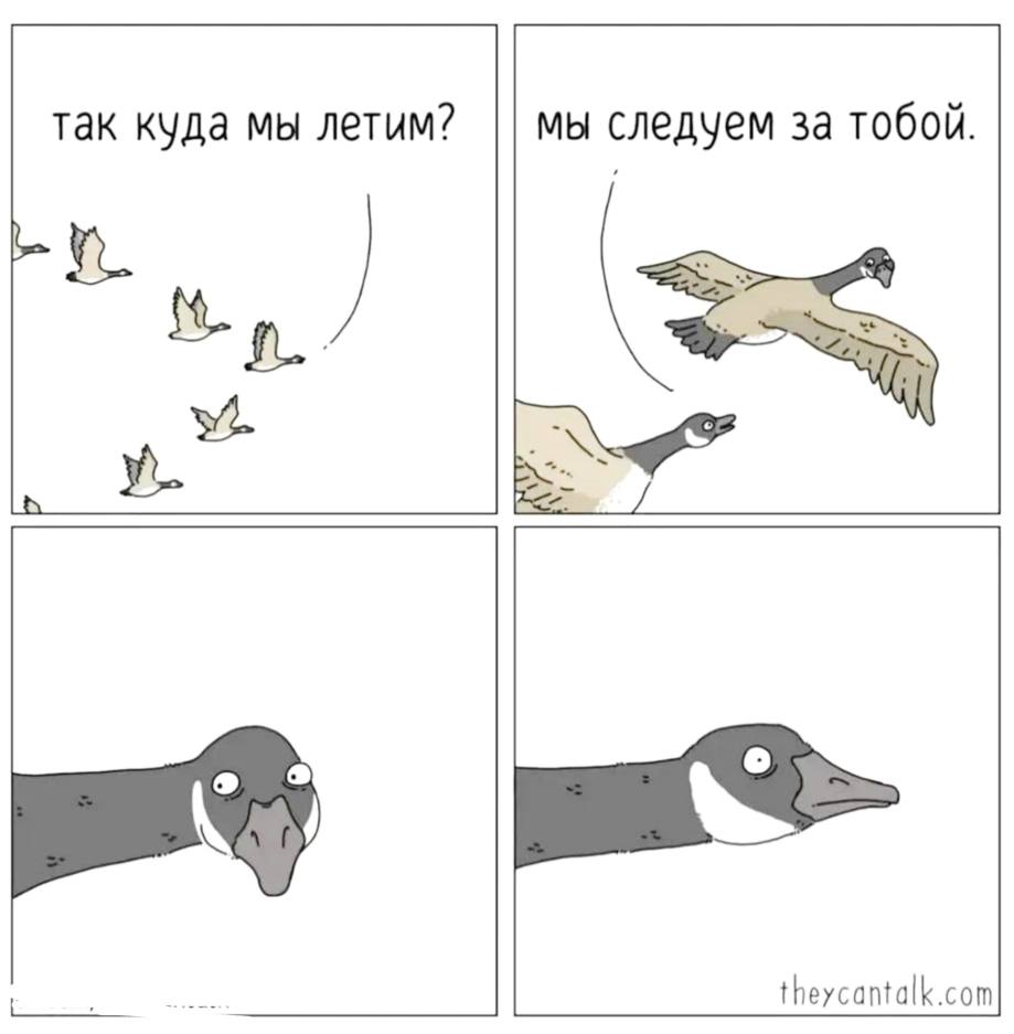 так куда мы летим? мы следуем за тобой. theycantalk.com