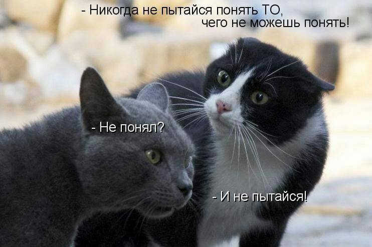 Никогда не пытайся понять ТО чего неможешь понять! Не А Ине пытайся!