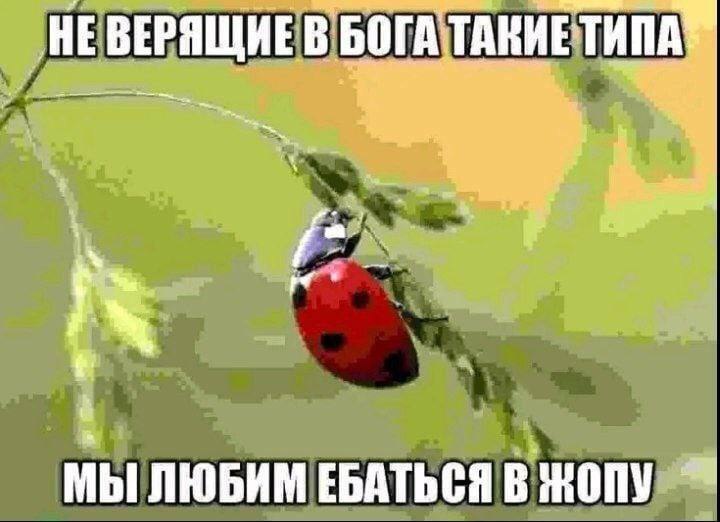 UME ВЕРЯЩИЕВ БОГА ТАКИЕТИПА МЫ ЛЮБИМ ЕБАТЬСЯ В ЖОПУ