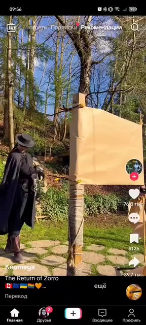 eturn of Zorro Входящие