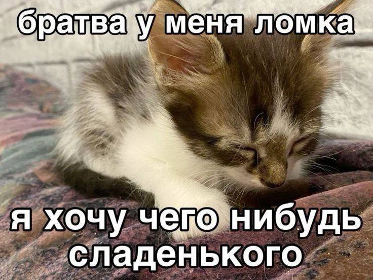 меня JIOMK я хочу нибудь сладенького