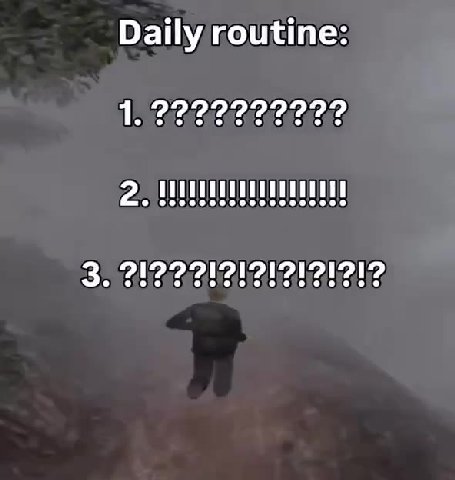 Daily routine: