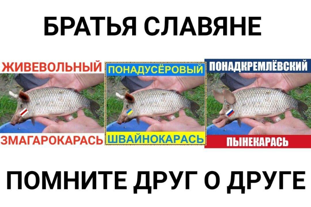 БРАТЬЯ СЛАВЯНЕ ПЫНЕКАРАСЬ ПОМНИТЕ ДРУГ О ДРУГЕ